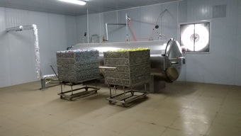 食品廠轉(zhuǎn)型良機(jī) 咸蛋廠整線(xiàn)設(shè)備打包轉(zhuǎn)讓?zhuān)仩t、殺菌鍋、洗蛋機(jī)等